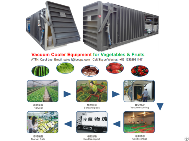 Vacuum Cooler Machine For Leafy Vegetables And Fruits Flowers