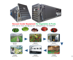 Vacuum Cooler Machine For Leafy Vegetables And Fruits Flowers