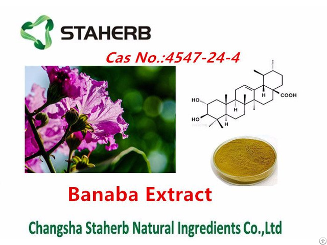 Banaba Leaf P E Extract Of Corosolic Acid