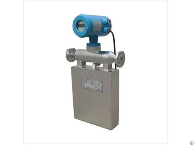 Digital Mass Flow Meter Zero100m