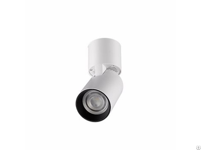 10w Cob Adjustable Surface Mounted Down Light