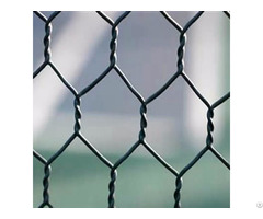 Best Quality Low Price Hexagonal Wire Netting Mesh