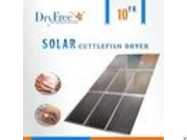 Industrial Dehydrated Pumpkin Solar Dry Equipment