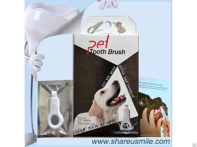 Best Dog Dental Care Keep Your Pet Teeth And Gums Healthy