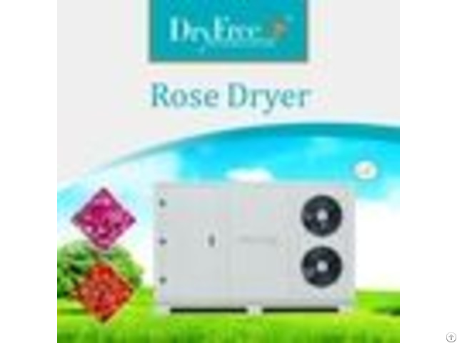 Commercial Rose Dryer