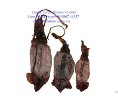 Dried Squid