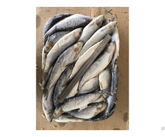 Baltic Herring Sprat Smelt