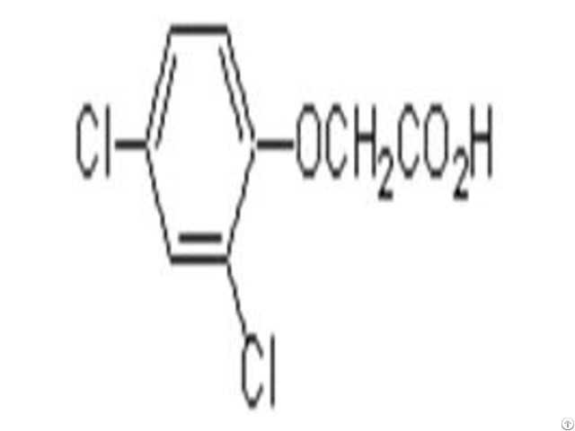 X Y Bio 2 4 D