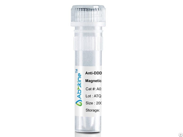 Anti Ddddk Tag Mouse Monoclonal Antibody 1b10 Magnetic Beads