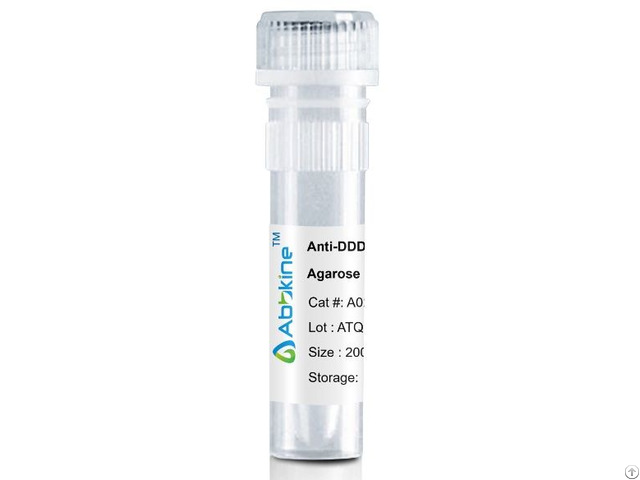 Anti Ddddk Tag Mouse Monoclonal Antibody 1b10 Agarose