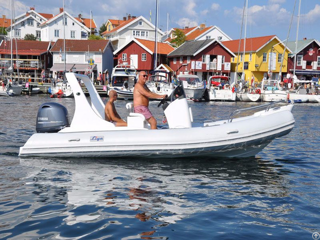 Lianya 5 8m Luxury Fiberglass Hull Speed Inflatable Rib Boat R