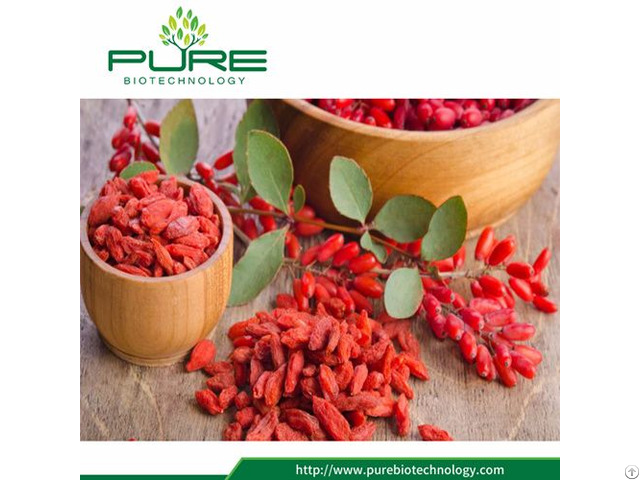 Dried Fruit Goji Berry