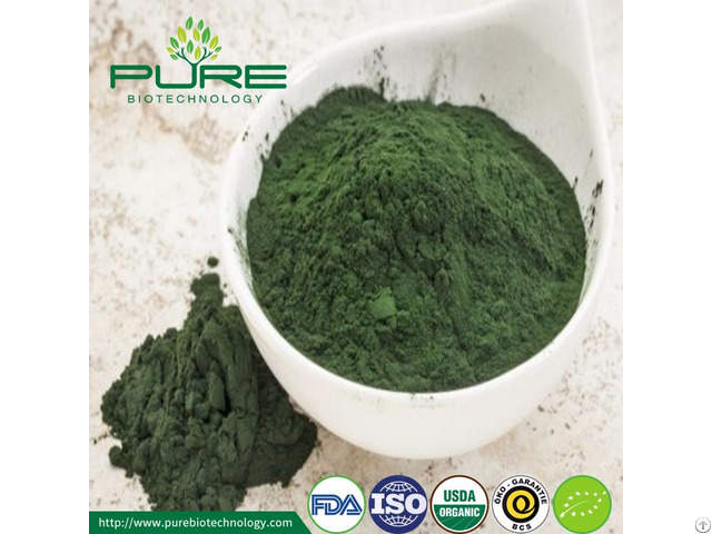 Green Spirulina Powder