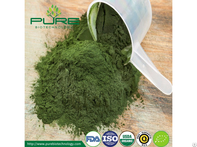 Organic Green Chlorella Powder