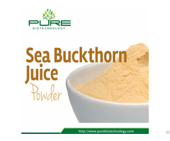 Natural Sea Buckthorn Berry Powder Extract