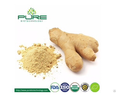 Dried Ginger Powder