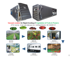 6pallet Vacuum Cooler For Lettuce Rapid Cooling After Harvest