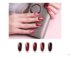 New Arrival Uv Gel Soak Off Nail Polish Oem Cat Eyes