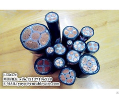 Shengzhou Metal Xlpe Insulated Power Cable