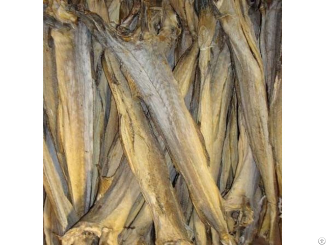 Dried Stockfish