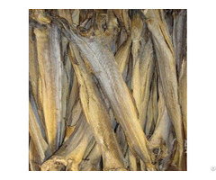 Dried Stockfish