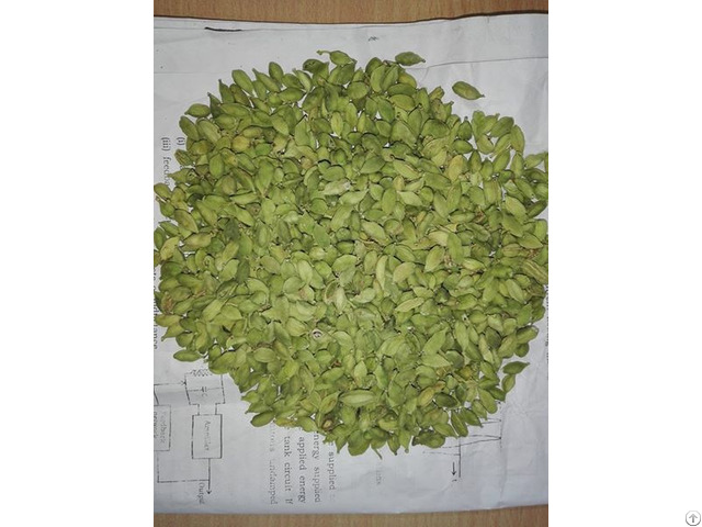 Organic Green Cardamom