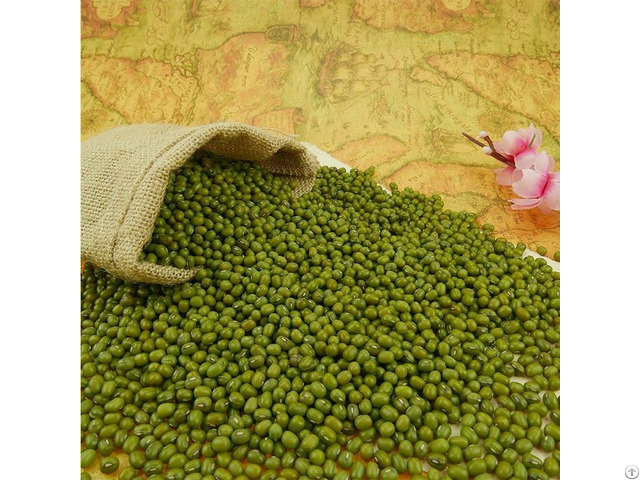 Organic Green Mung Beans