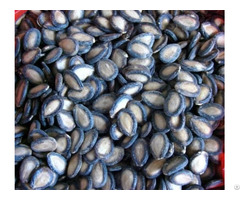 Watermelon Seeds Wholesale Suppliers Online