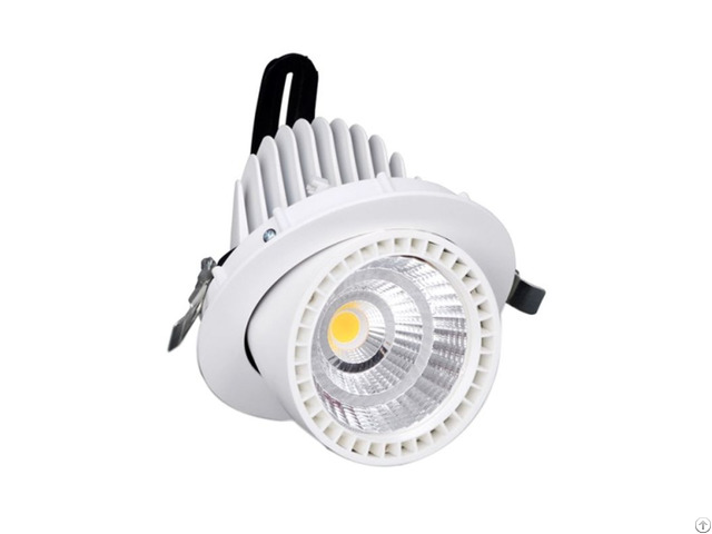 Gimbal Led Downlights 30w Cree Cob 2700 Lm