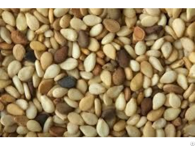 Sesame Seeds2