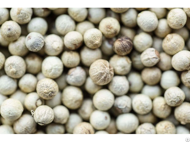 White Pepper