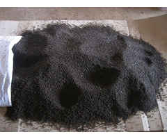Black Peppers