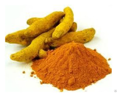 Tumeric Fingers