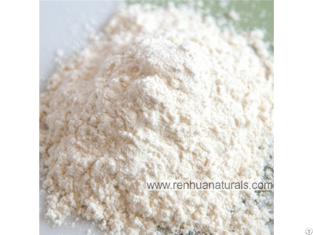 Manufacture High Quality Organic Garlic Powder Dehydrated Vegetables