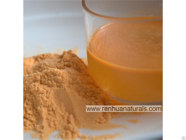 Natural Fruits Additives Goji Berry Juice Powder