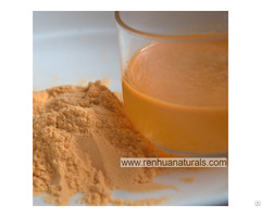 Natural Fruits Additives Goji Berry Juice Powder