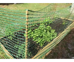 Green Temporary Barrier Fencing Mesh