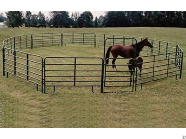 Horse Panels