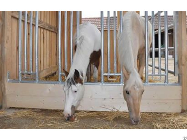 Horse Panel Feeding Rack