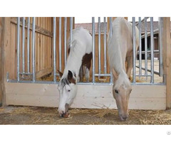 Horse Panel Feeding Rack