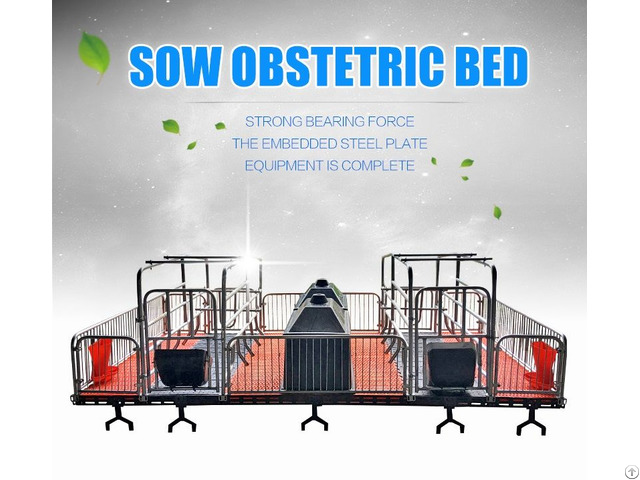 Pig Farrowing Crates