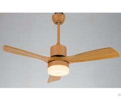 Ceiling Fan Lights