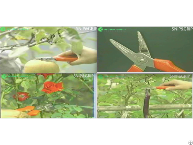 Snip And Grip Pruner