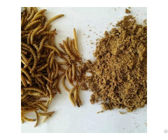 Dried Mealworm Powder