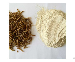 Mealworm Protein Powder