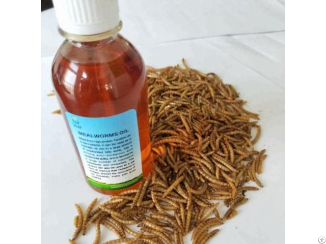 Mealworm Oil