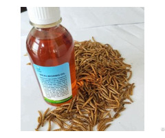 Mealworm Oil