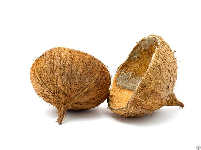 Coconut Shells