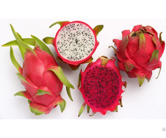 Fresh Dragon Fruit