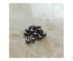 Gr2 Self Tapping Titanium Screws M2 9x6 5mm